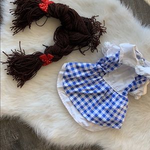 Dorthy wizard of oz pet dog costume dress and wig